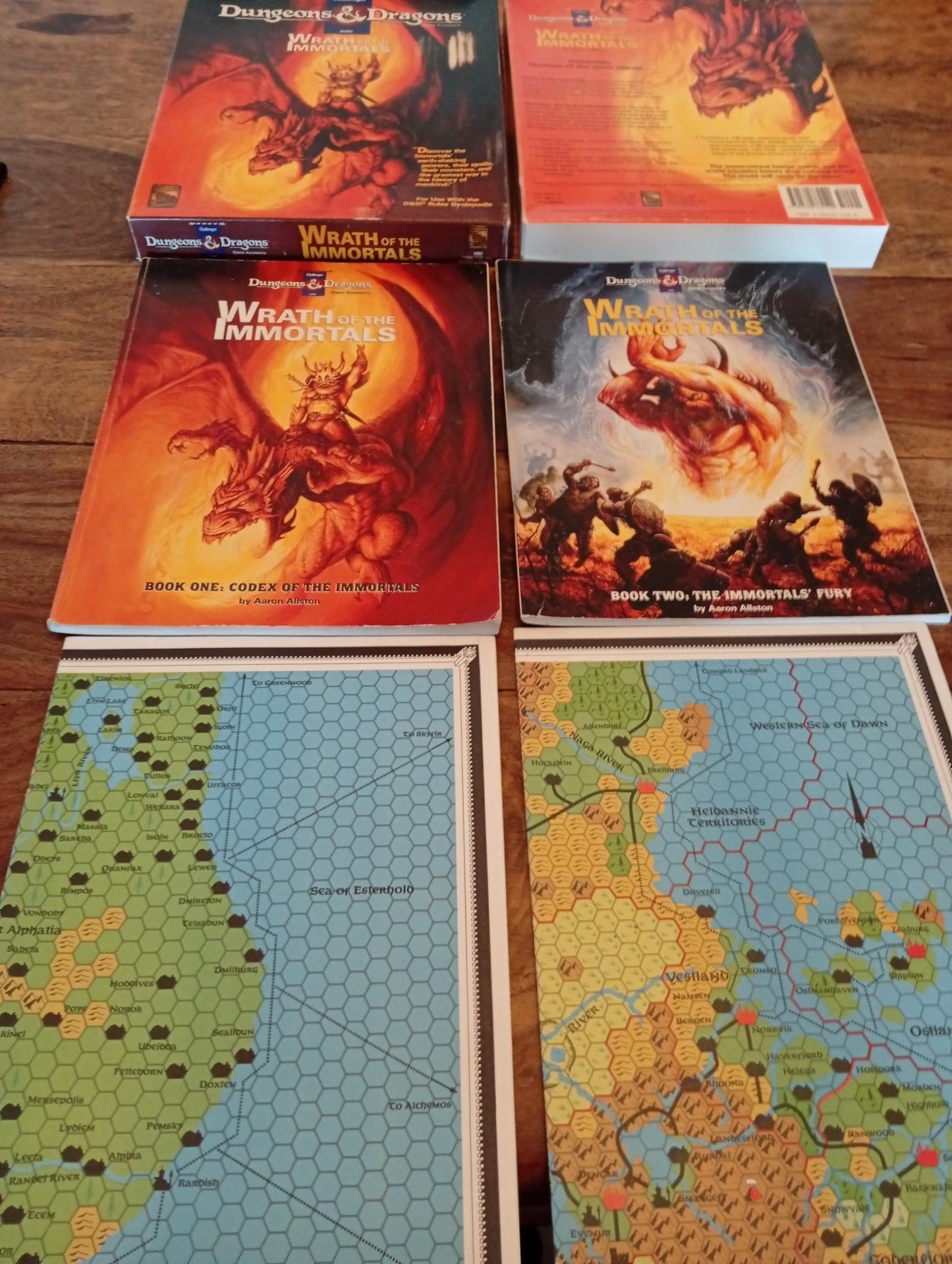 Wrath of the Immortals Dungeons & Dragons Box Set TSR 1082 D&D 1992