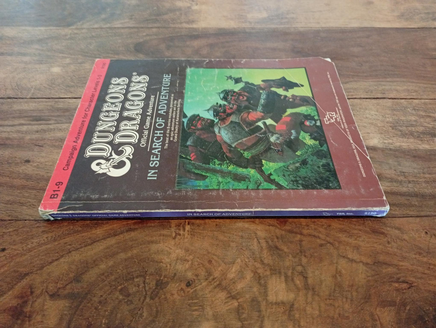 Dungeons & Dragons In Search of Adventure B1-9 TSR 9190 D&D 1987