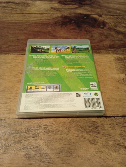PlayStation 3 Everybody's Golf World Tour 2007