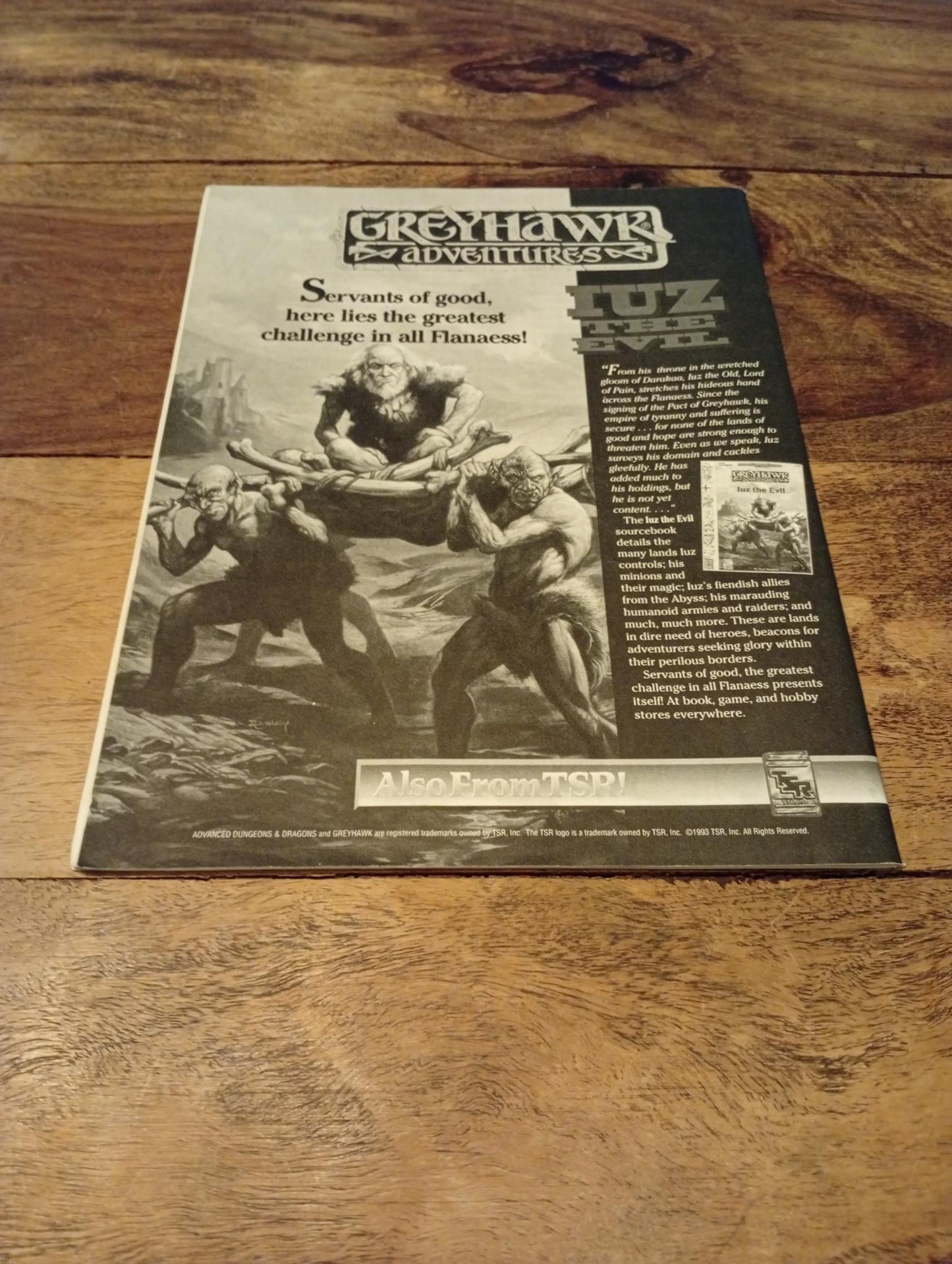 Greyhawk City of Skulls WGR6 TSR 9405 AD&D 1993