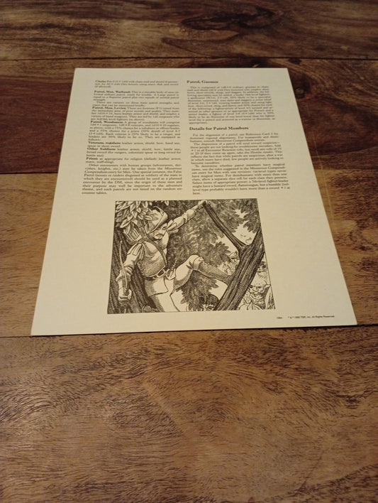 AD&D Greyhawk Reference Card #7 TSR 1064