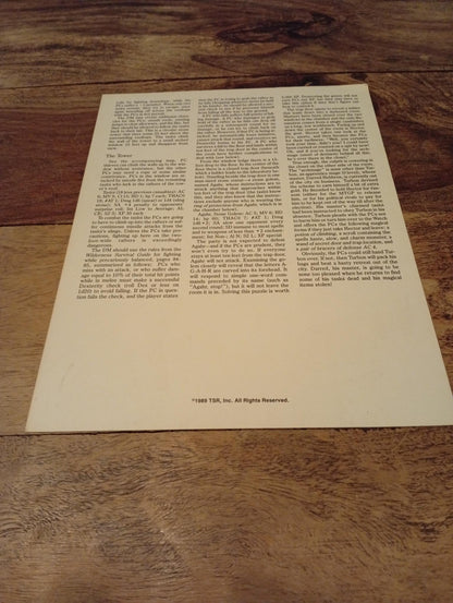 AD&D Greyhawk Reference Card #22 TSR 1043