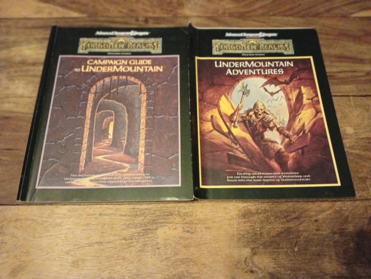 Forgotten Realms The Ruins of Undermountain TSR 1060 AD&D 1991