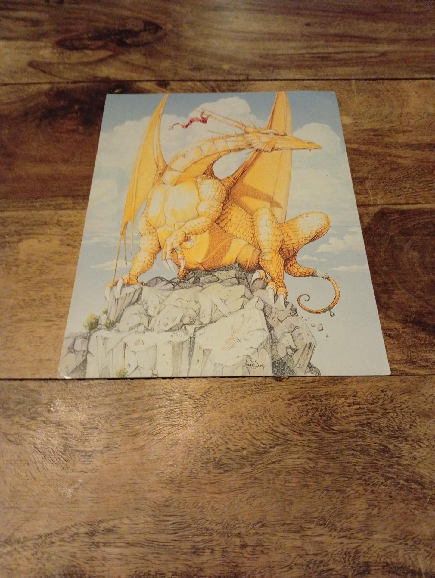 AD&D Council of Wyrms Reference Card #1 TSR 1107 AD&D 1994