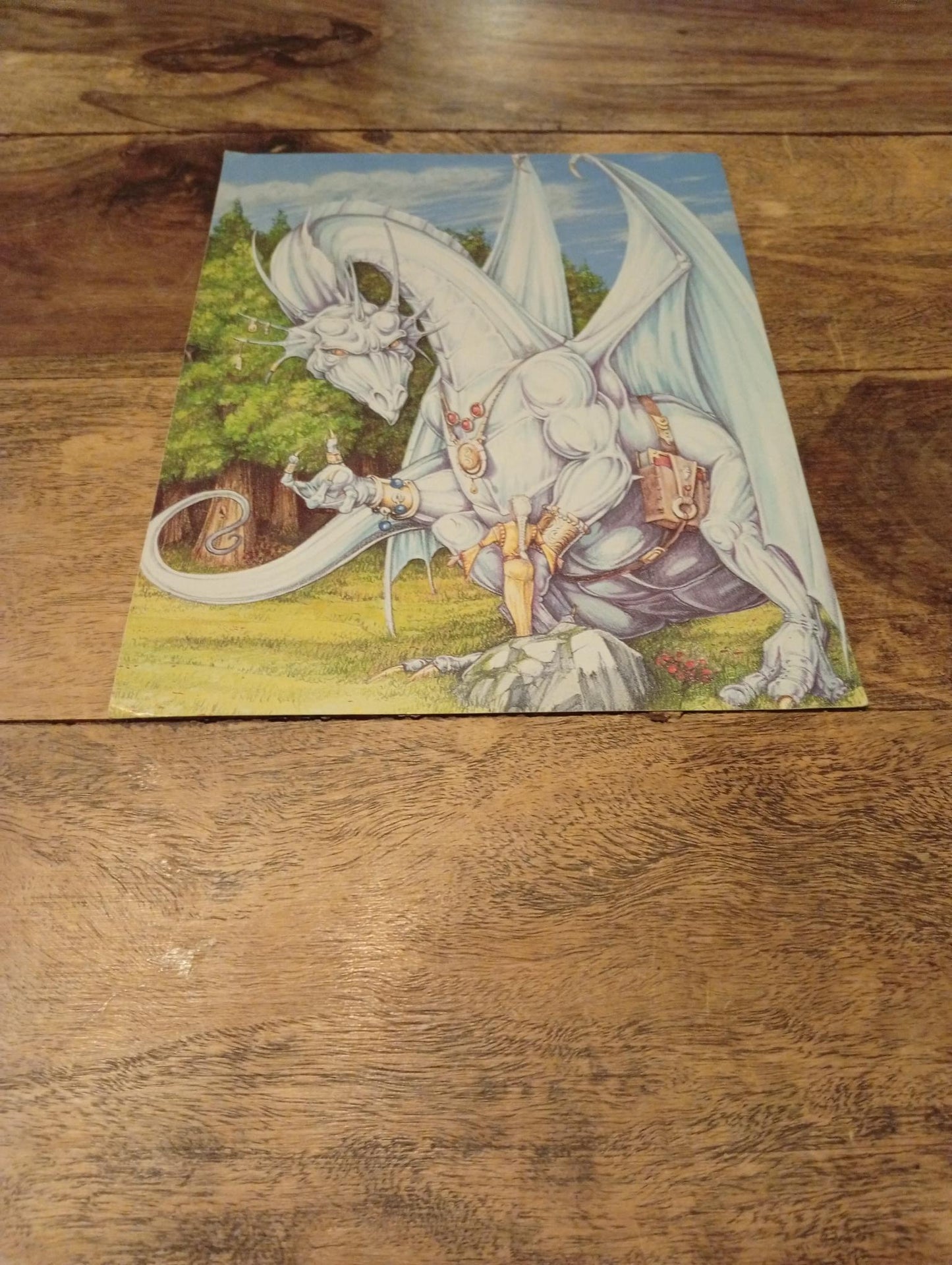 AD&D Council of Wyrms Reference Card #2 TSR 1107 AD&D 1994