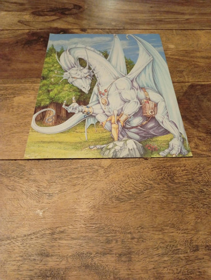 AD&D Council of Wyrms Reference Card #2 TSR 1107 AD&D 1994