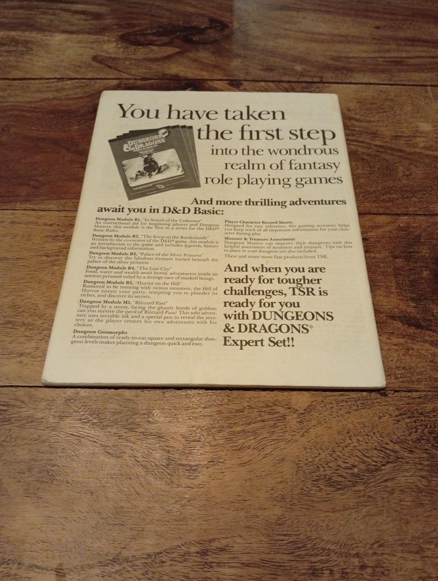 Dungeons & Dragons Players Manual TSR 1983