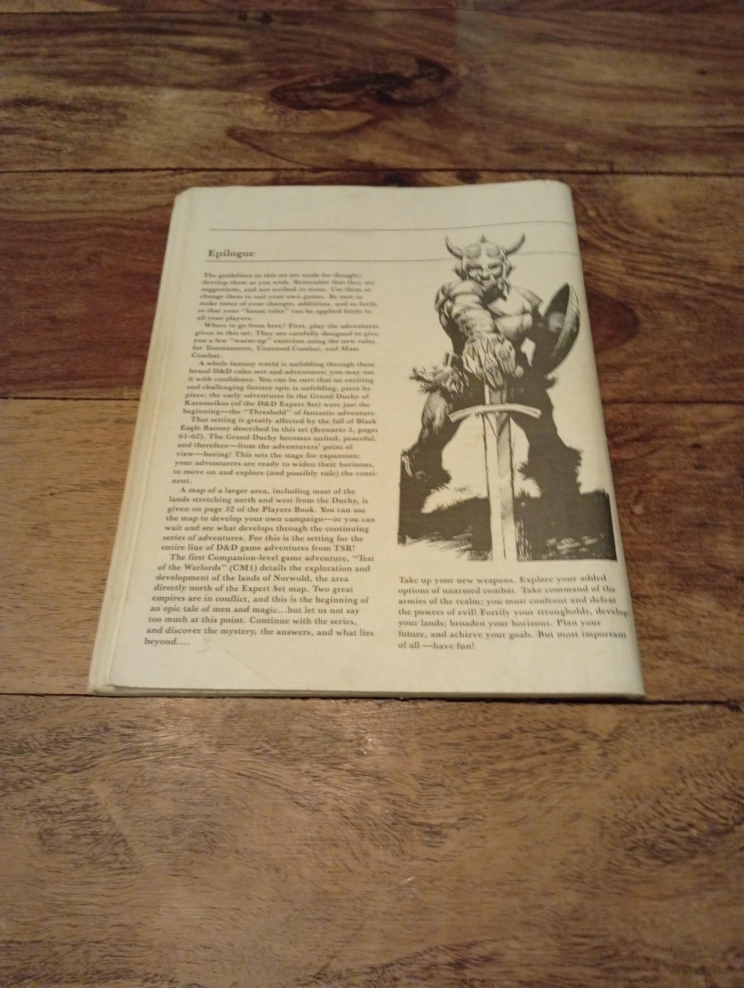 Dungeons & Dragons Dungeons Masters Companion Book 2 TSR 1984