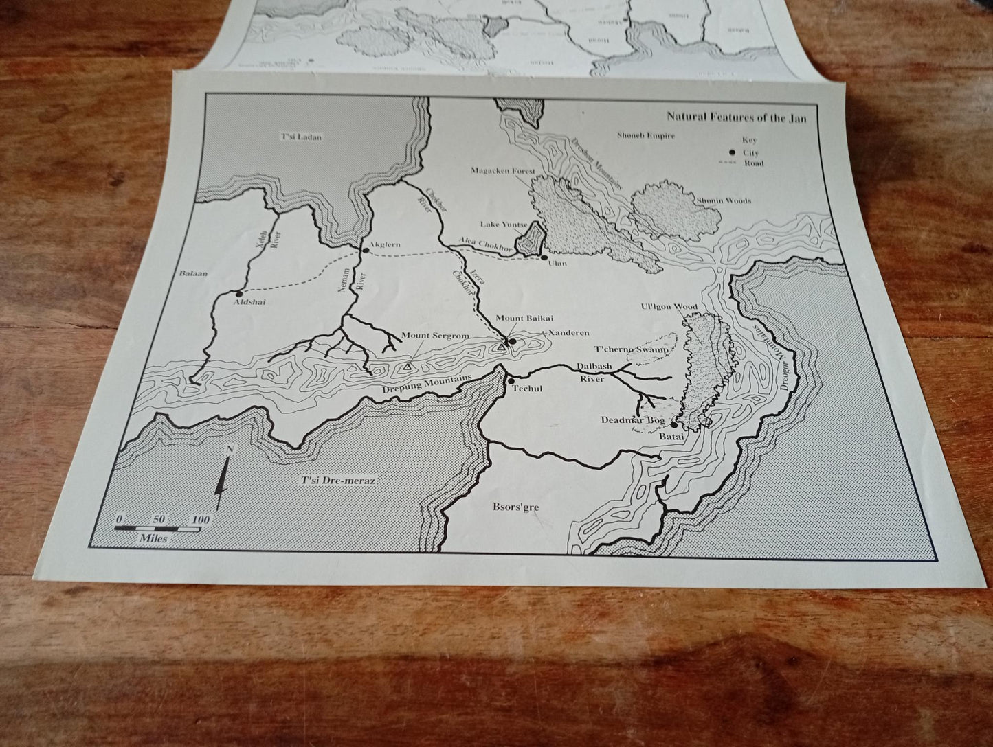 Shadow World Nomads Of The Nine Nations Map I.C.E. 6013 Rolemaster 1990