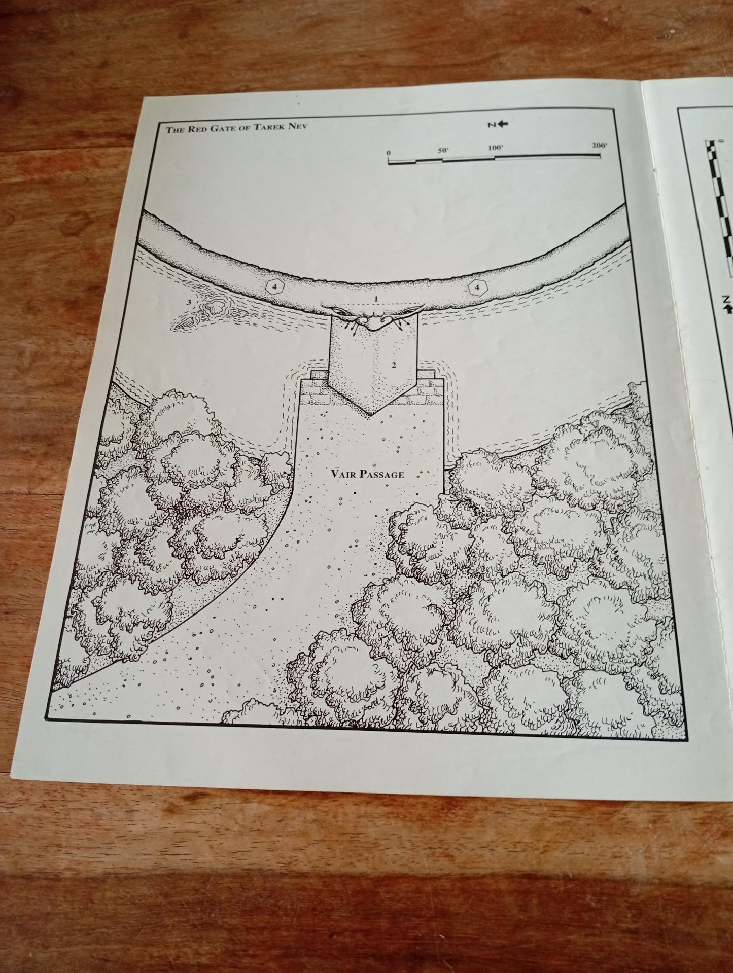Shadow World Demons of the Burning Night Map I.C.E. 6003 Rolemaster 1989
