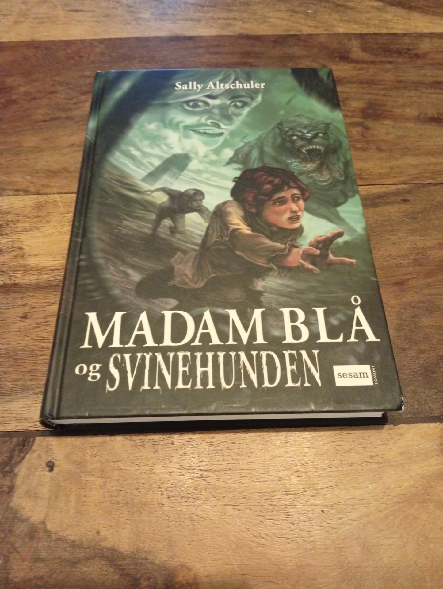 Madam Blå og Svinehunden Sally Altschuler 2007