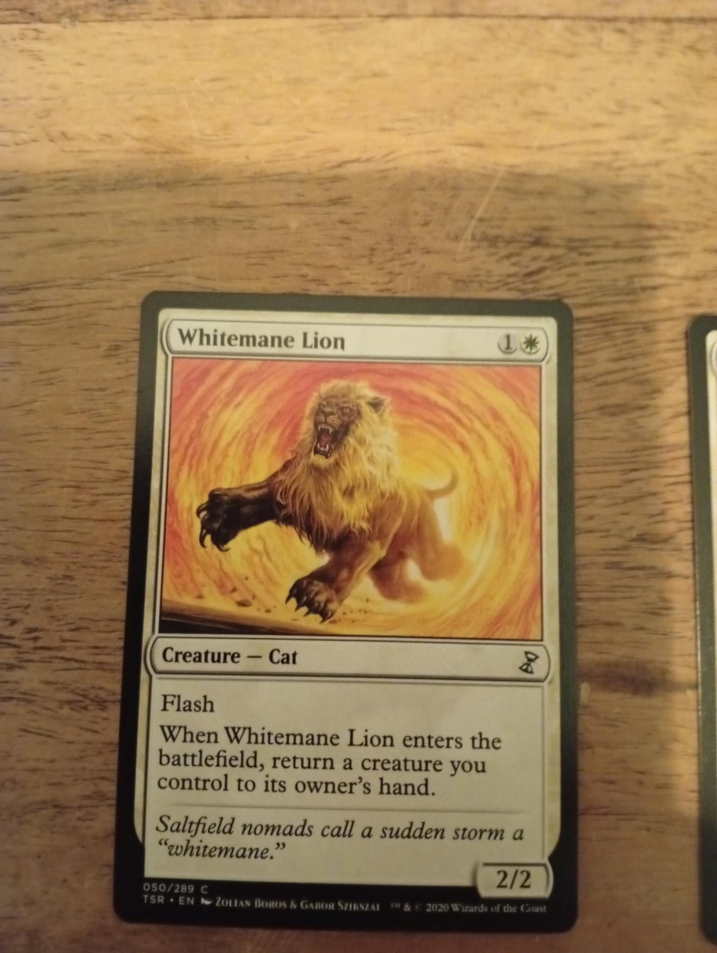 Magic The Gathering Whitemane Lion 050/289 Time Spiral Remastered