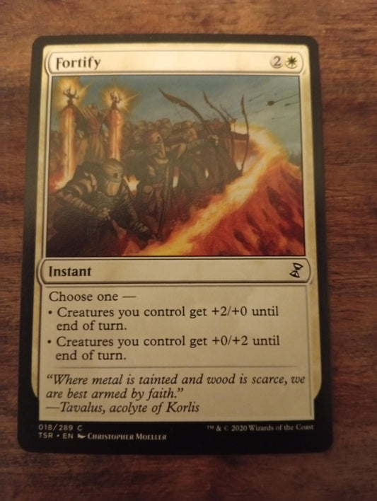 Magic The Gathering Fortify 018/289 TSR Time Spiral Remastered