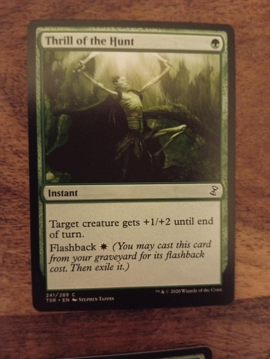 Magic The Gathering Thrill of the Hunt 241/289 TSR Time Spiral Remastered