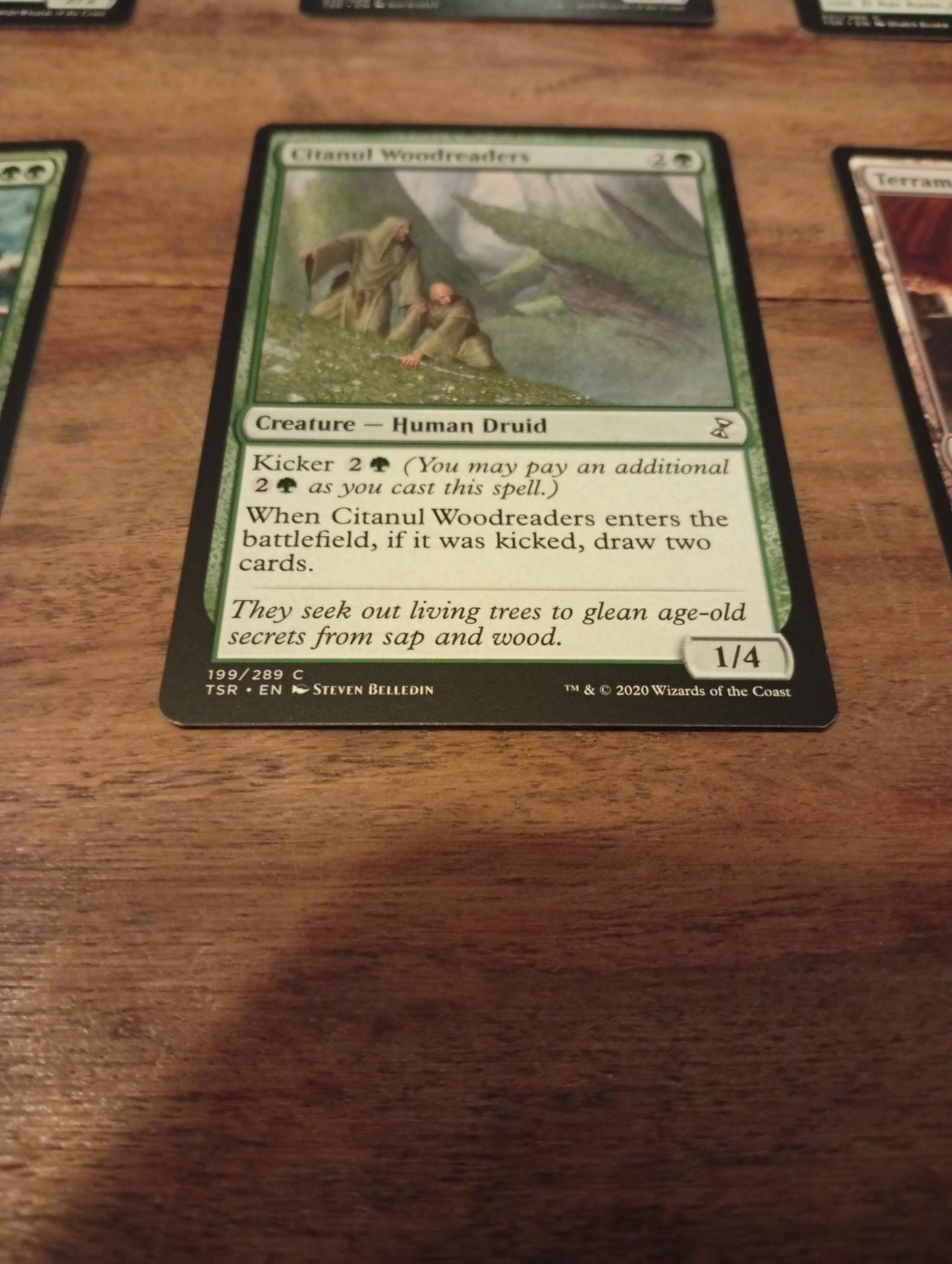 Magic The Gathering Citanul Woodreaders 199/289 TSR Time Spiral Remastered