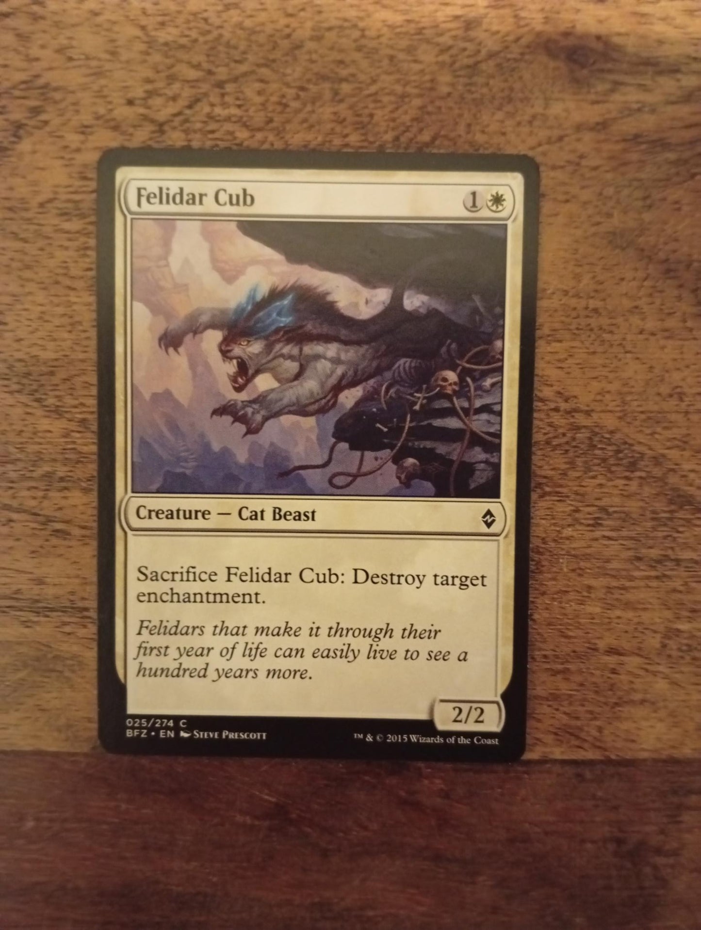 Magic The Gathering Felidar Cub 25/274 Battle for Zendikar