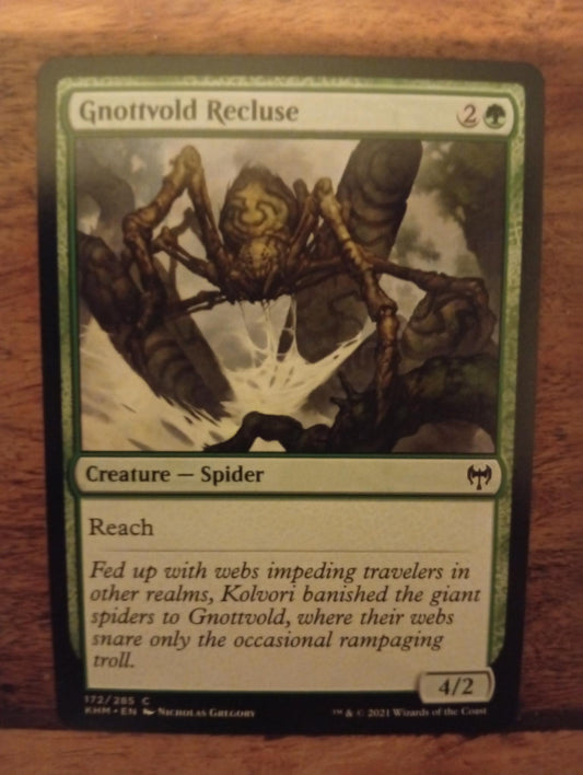 Magic The Gathering Gnottvold Recluse 172/285 Kaldheim