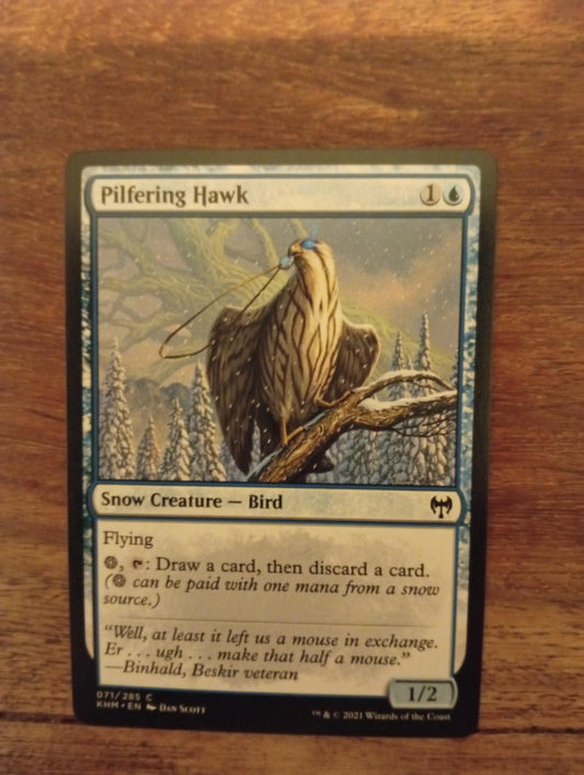 Magic The Gathering Pilfering Hawk 071/285 Kaldheim