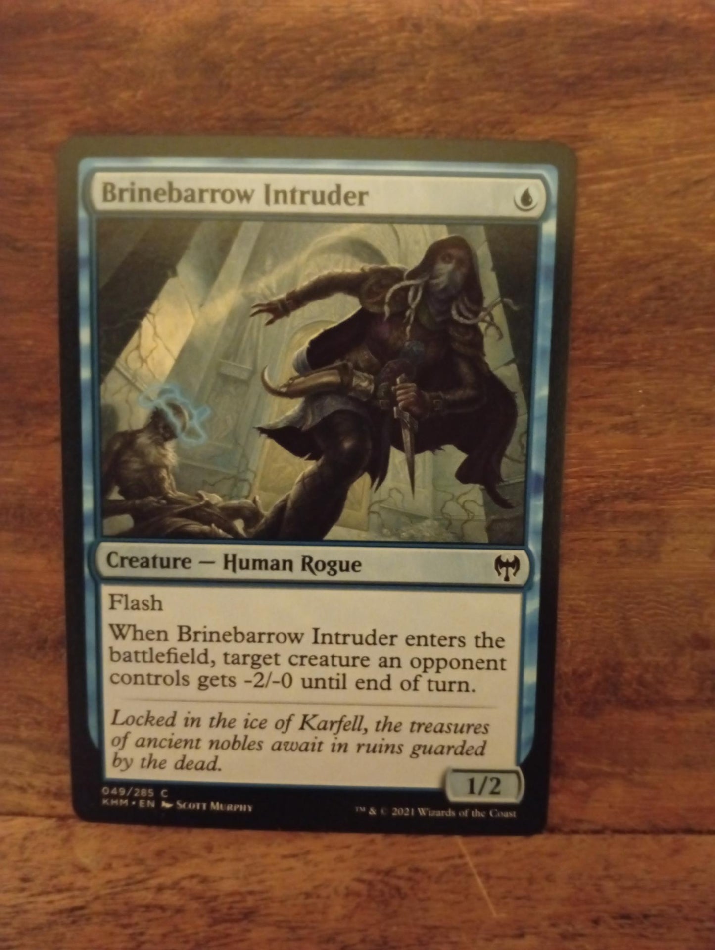 Magic The Gathering Brinebarrow Intruder 049/285 Kaldheim