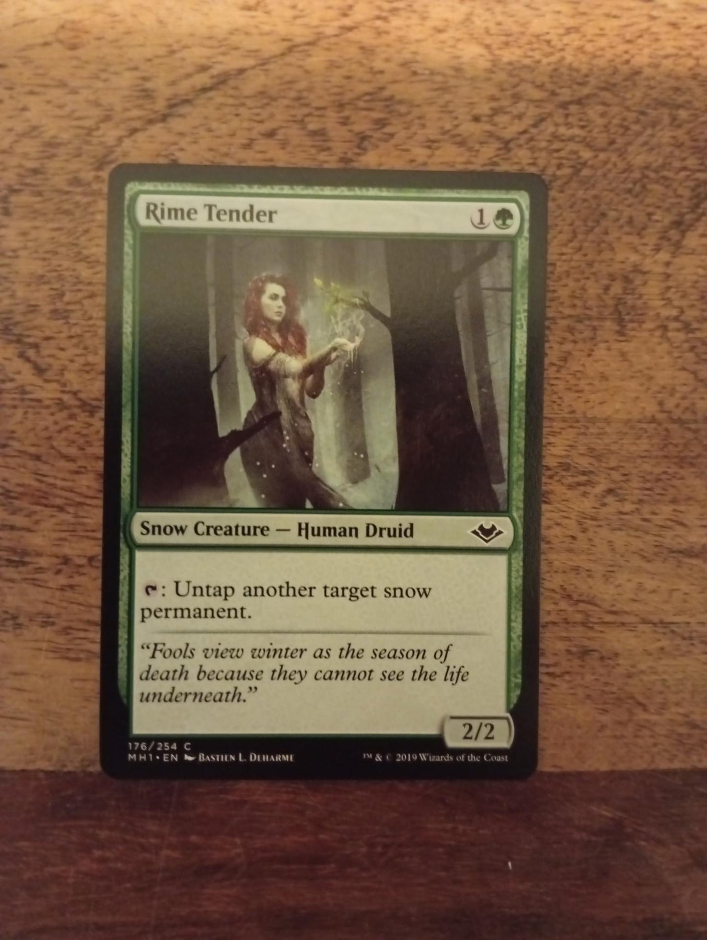 Magic The Gathering Rime Tender 176/254 Modern Horizons