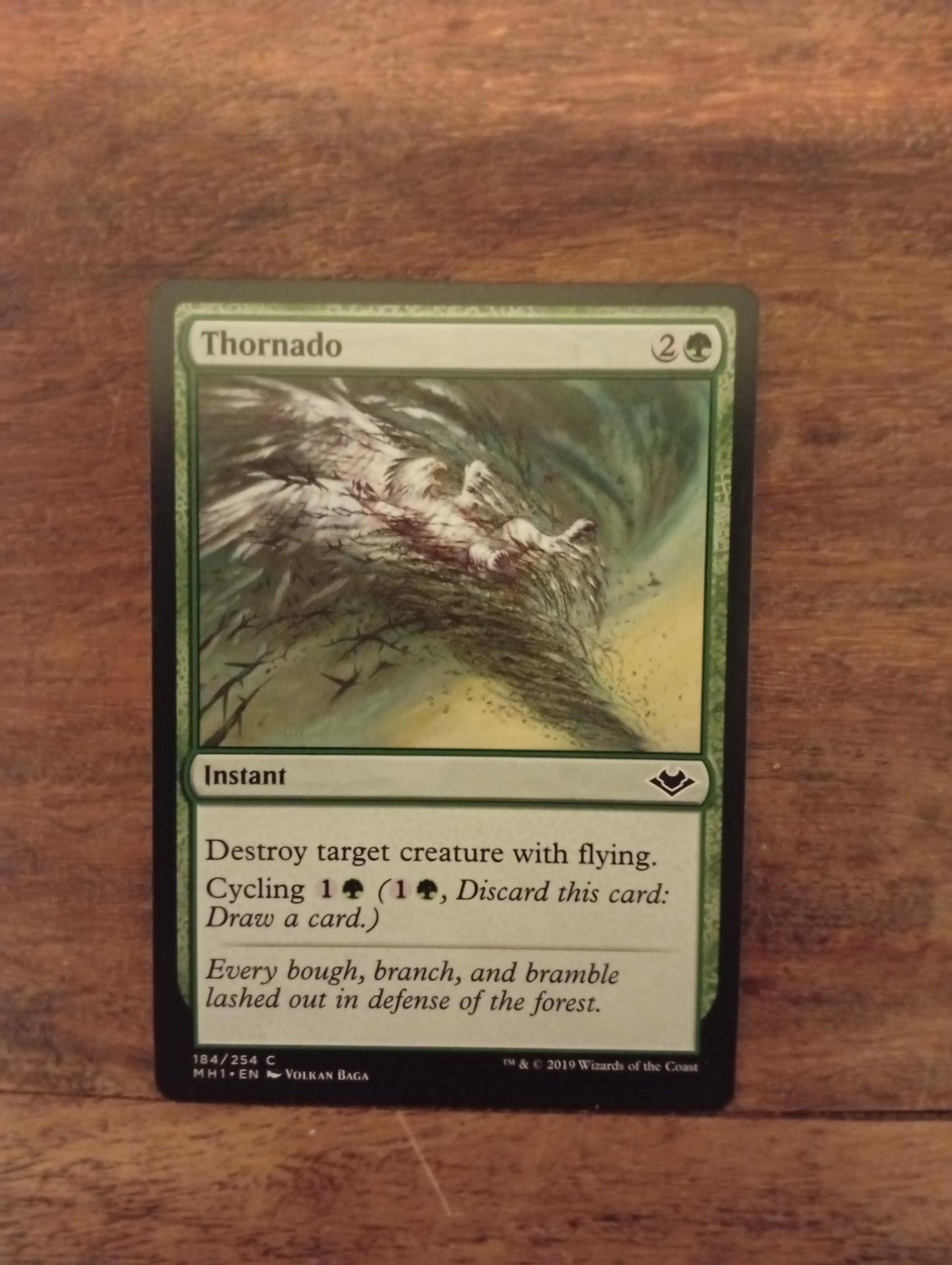 Magic The Gathering Thornado 184/254 Modern Horizons
