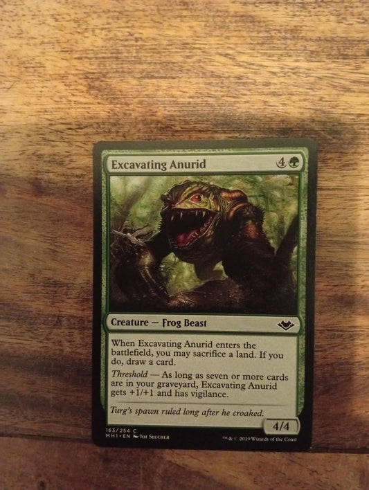 Magic The Gathering Excavating Anurid 163/254 Modern Horizons