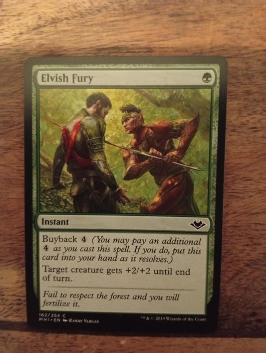 Magic The Gathering Elvish Fury 162/254 Modern Horizons