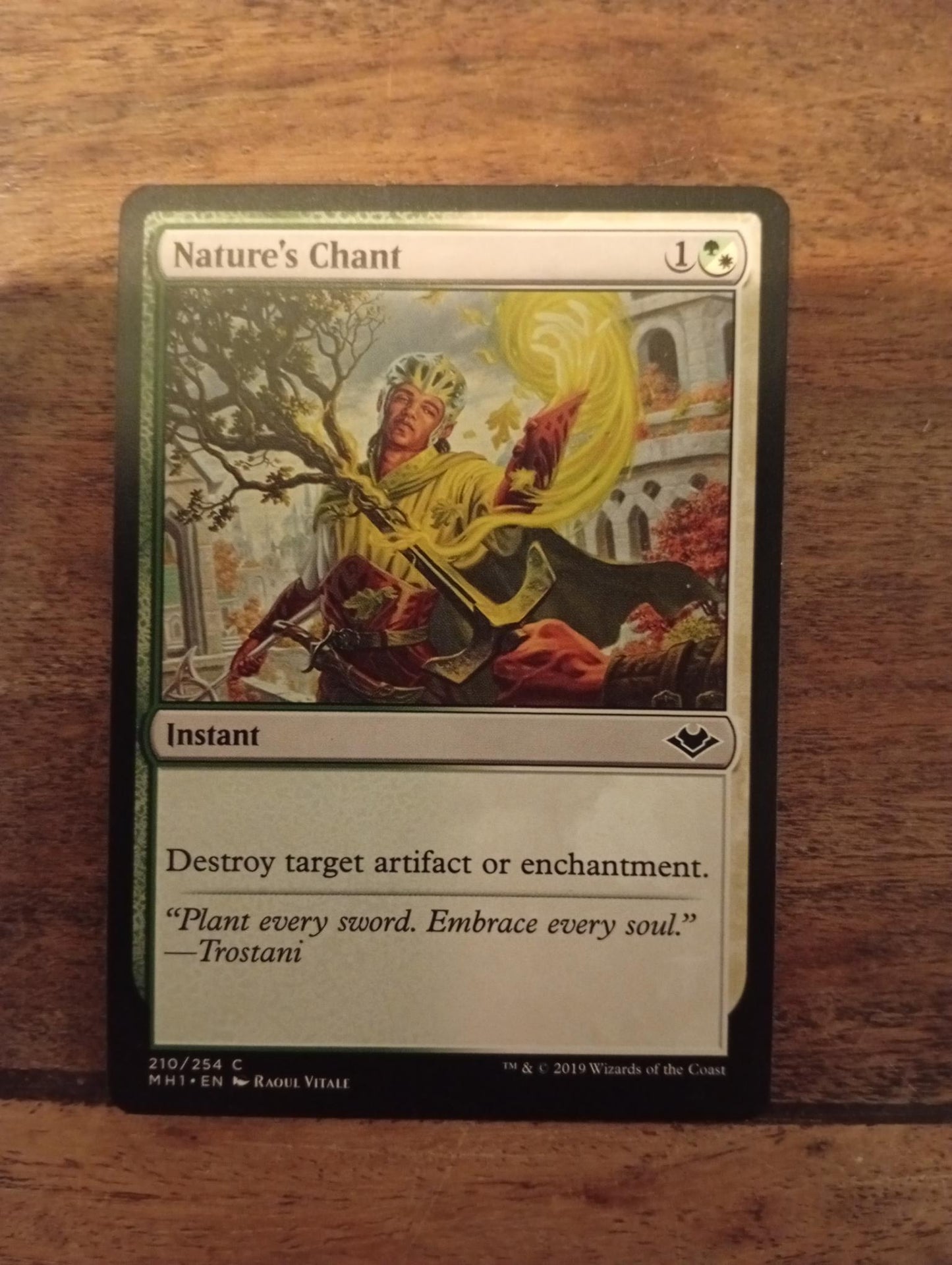 Magic The Gathering Nature's Chant 210/254 Modern Horizons