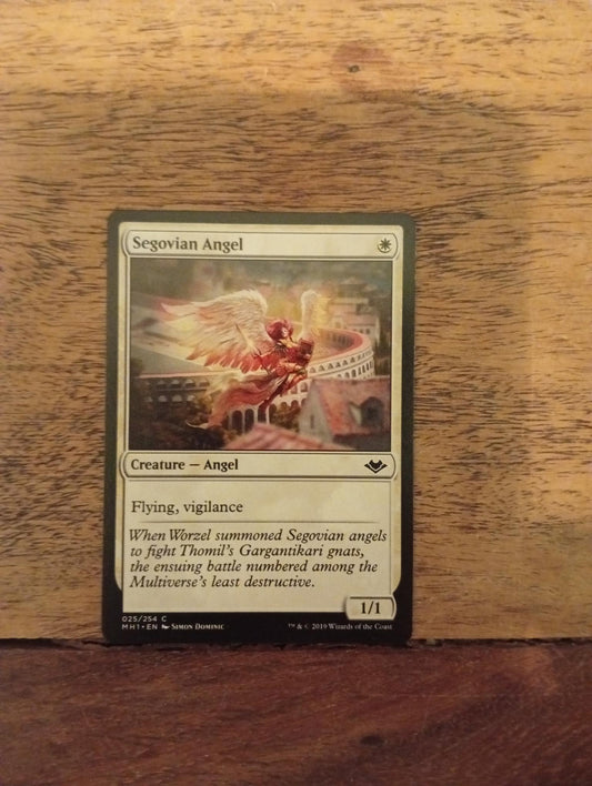 Magic The Gathering Segovian Angel 025/254 Modern Horizons
