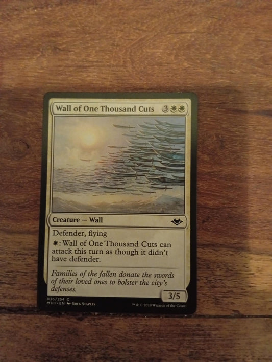 Magic The Gathering Wall of One Thousand Cuts 036/254 Modern Horizons
