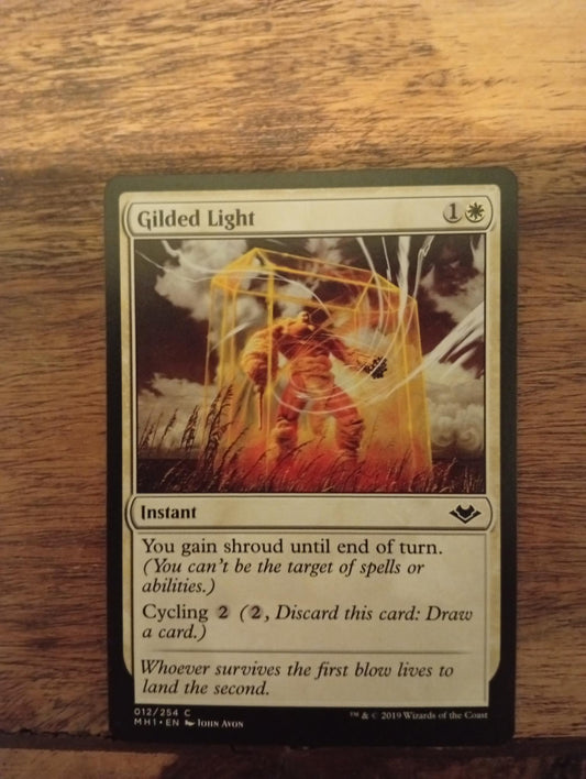 Magic The Gathering Gilded Light 012/254 Modern Horizons