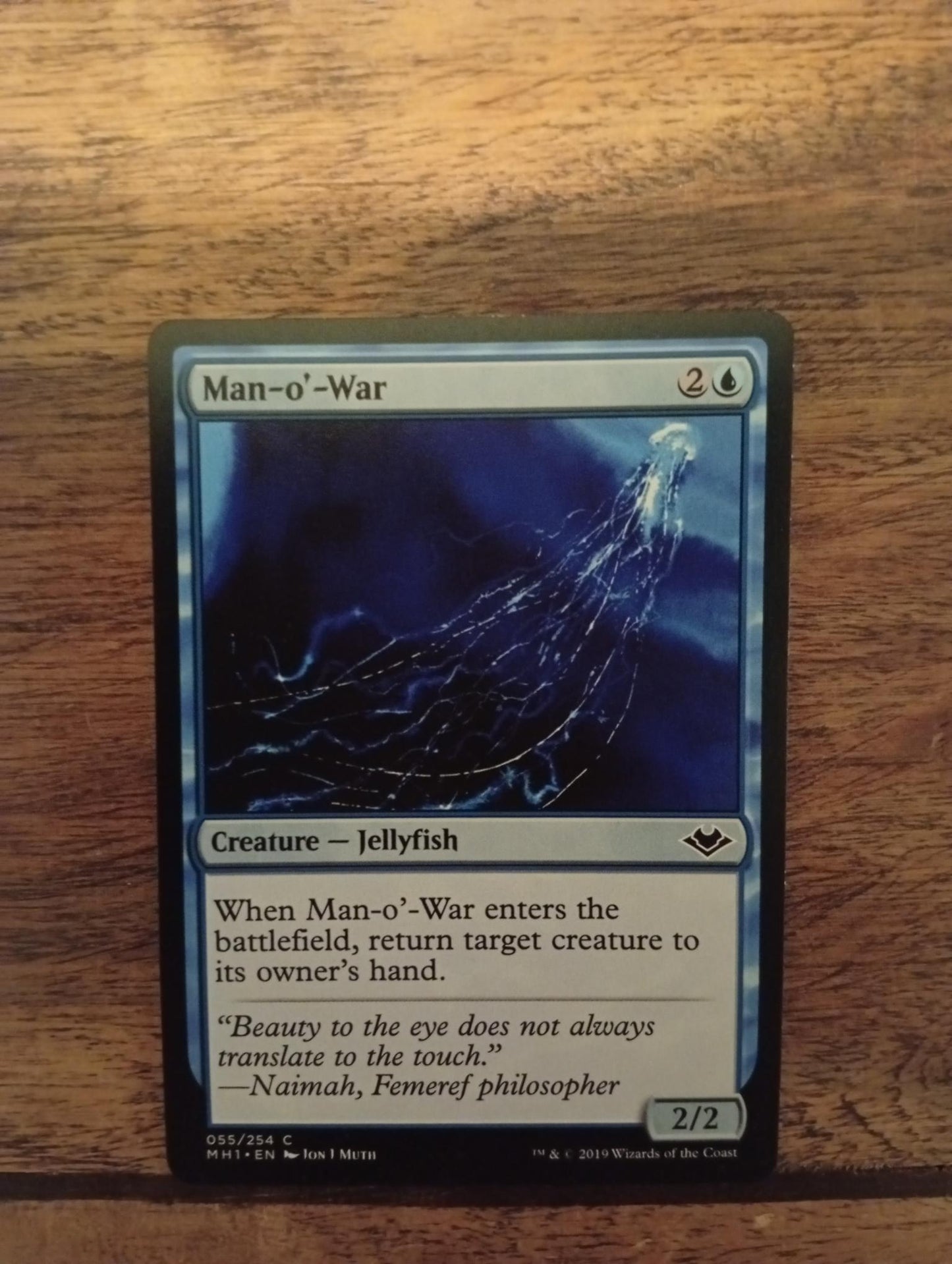 Magic The Gathering Man-o'-War 055/254 Modern Horizons
