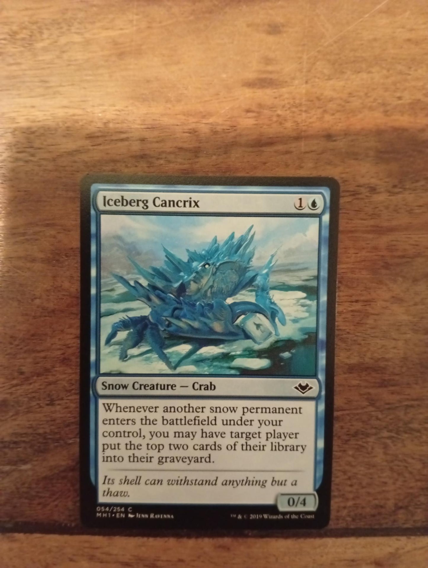 Magic The Gathering Iceberg Cancrix 054/254 Modern Horizons