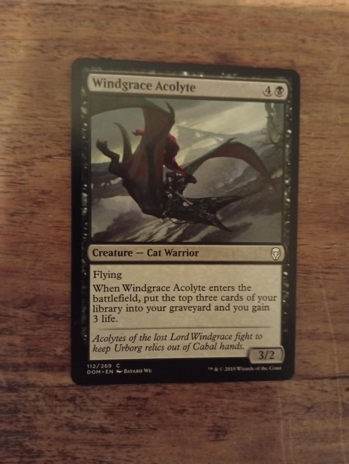 Magic The Gathering Windgrace Acolyte 112/269 Dominaria