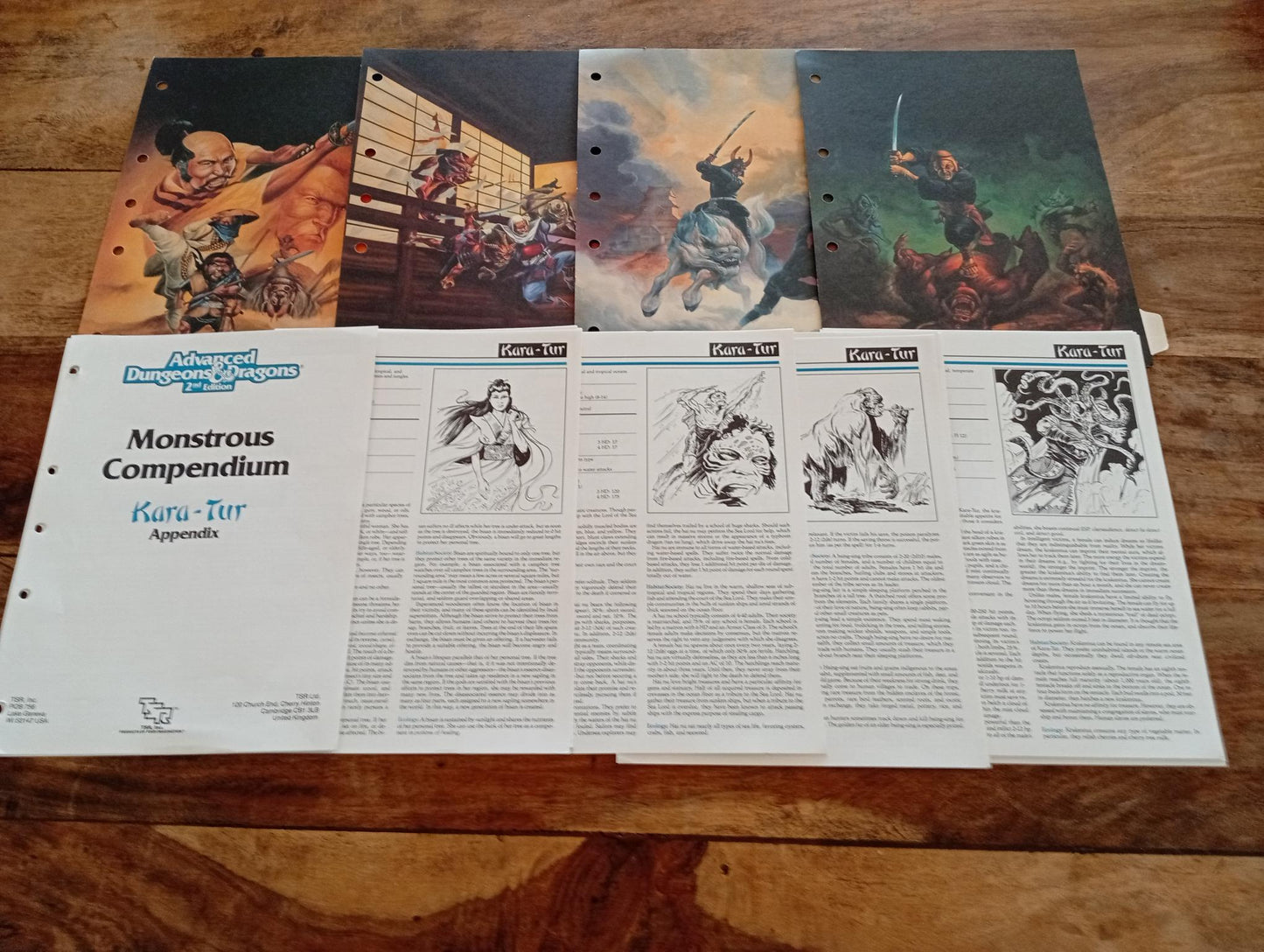 Kara-Tur Monstrous Compendium Appendix MC6 No Slipcover TSR 2116 AD&D 1990 - AllRoleplaying.com