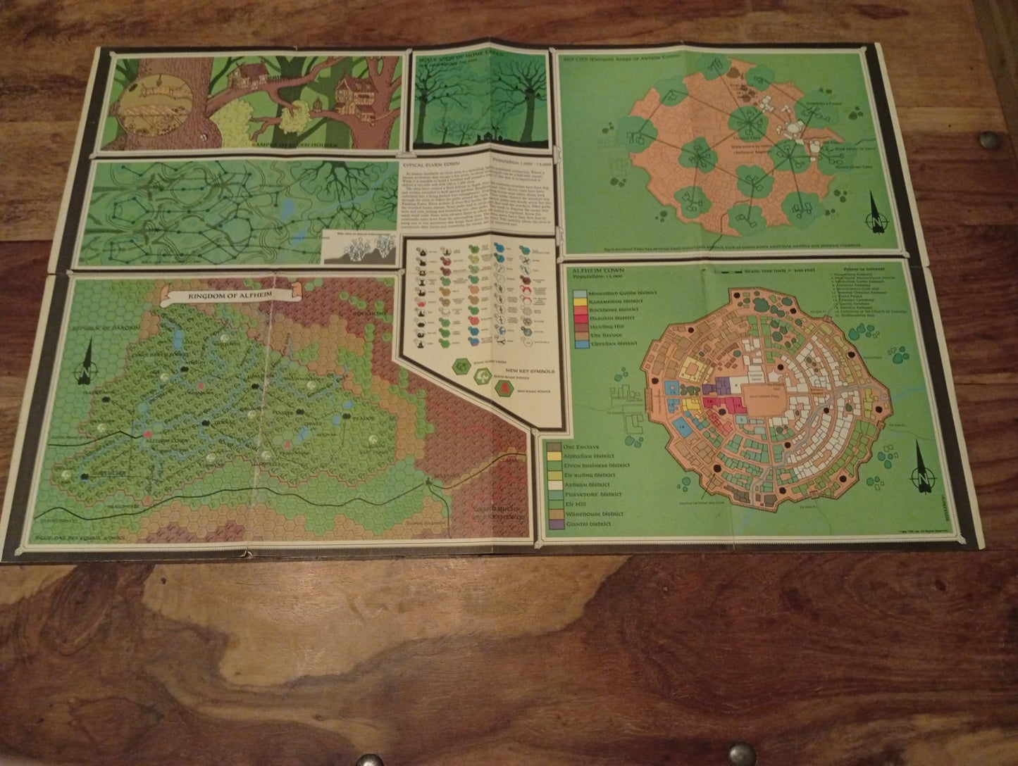 The Elves of Alfheim GAZ5 Map Only Gazetteer D&D TSR 9223 1988