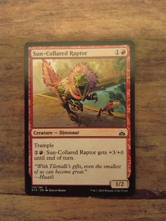 Magic The Gathering Sun-Collared Raptor 118/196 Rivals of Ixalan - AllRoleplaying.com