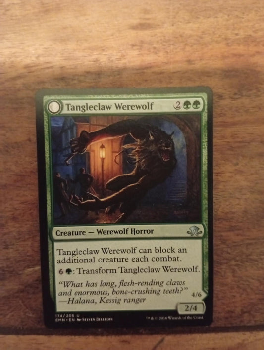 Magic The Gathering Tangleclaw Werewolf - Fibrous Entangler 174/205 Eldritch Moon