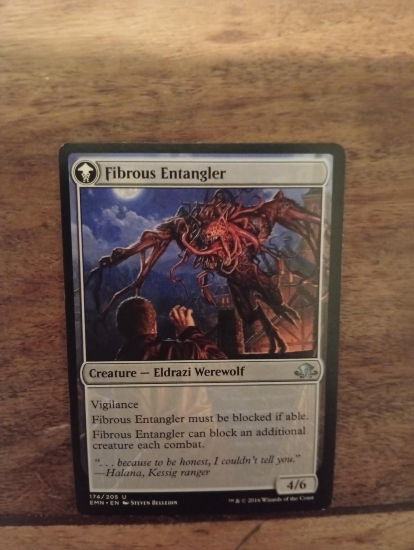 Magic The Gathering Tangleclaw Werewolf - Fibrous Entangler 174/205 Eldritch Moon