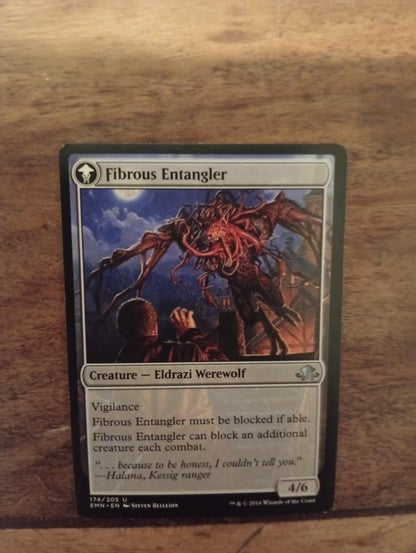 Magic The Gathering Tangleclaw Werewolf - Fibrous Entangler 174/205 Eldritch Moon