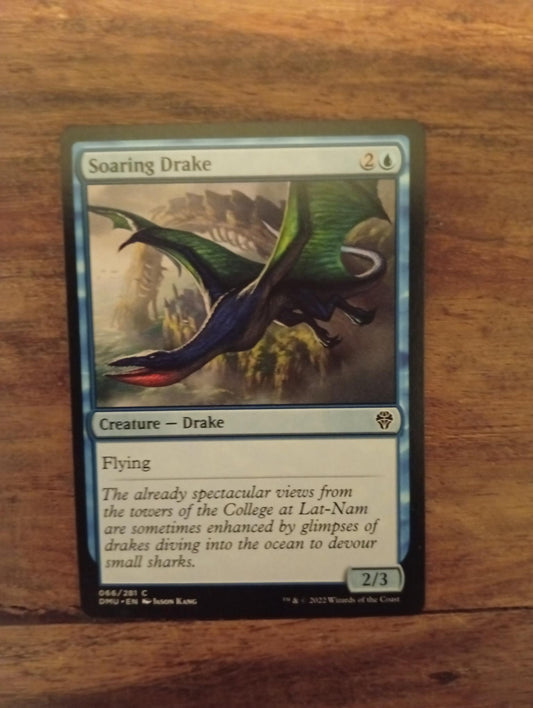 Magic The Gathering Soaring Drake 066/281 Dominaria United
