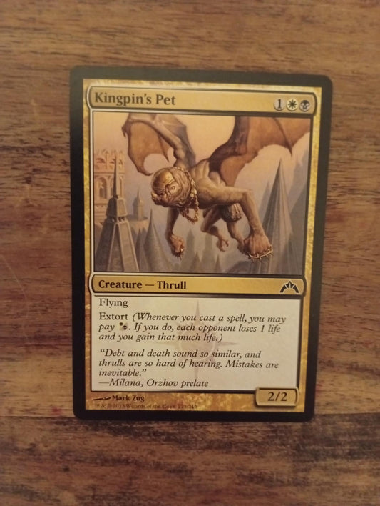 Magic The Gathering Kingpin's Pet 173/249 Gatecrash