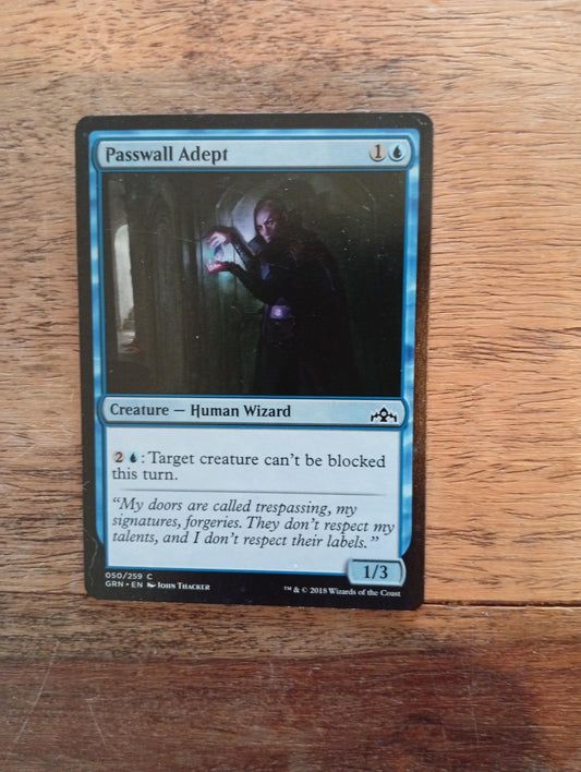 Magic The Gathering Passwall Adept 050/259 Guilds of Ravnica