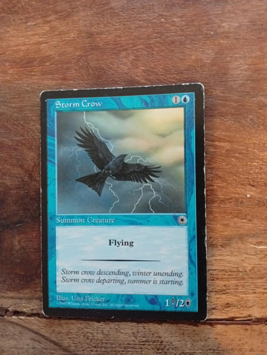 Magic The Gathering Storm Crow Portal