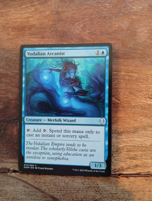 Magic The Gathering Vodalian Arcanist 073/269 Dominaria