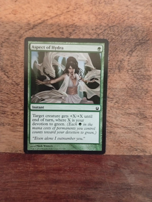 Magic The Gathering Aspect of Hydra 117/165 Born of the Gods - AllRoleplaying.com