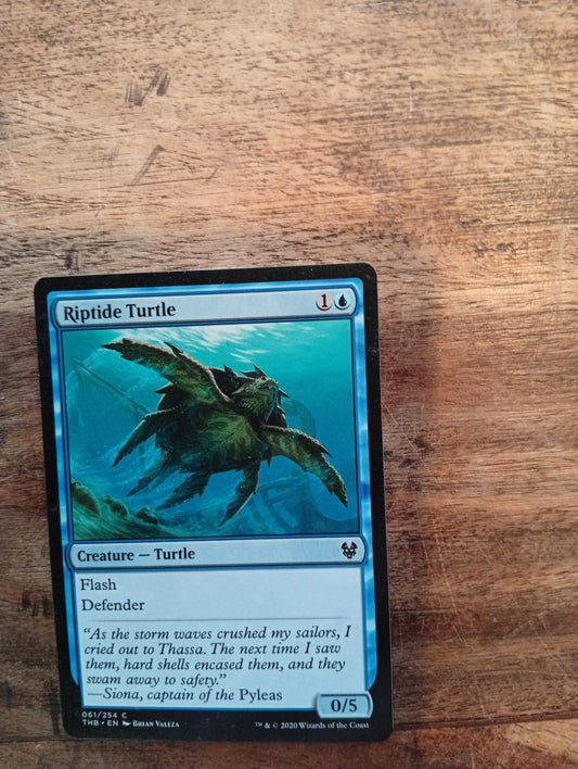 Magic The Gathering Riptide Turtle 061/254 Theros Beyond Death - AllRoleplaying.com