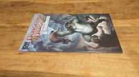 Dungeons & Dragons: IDW Forgotten Realms #1-5 complete series - books