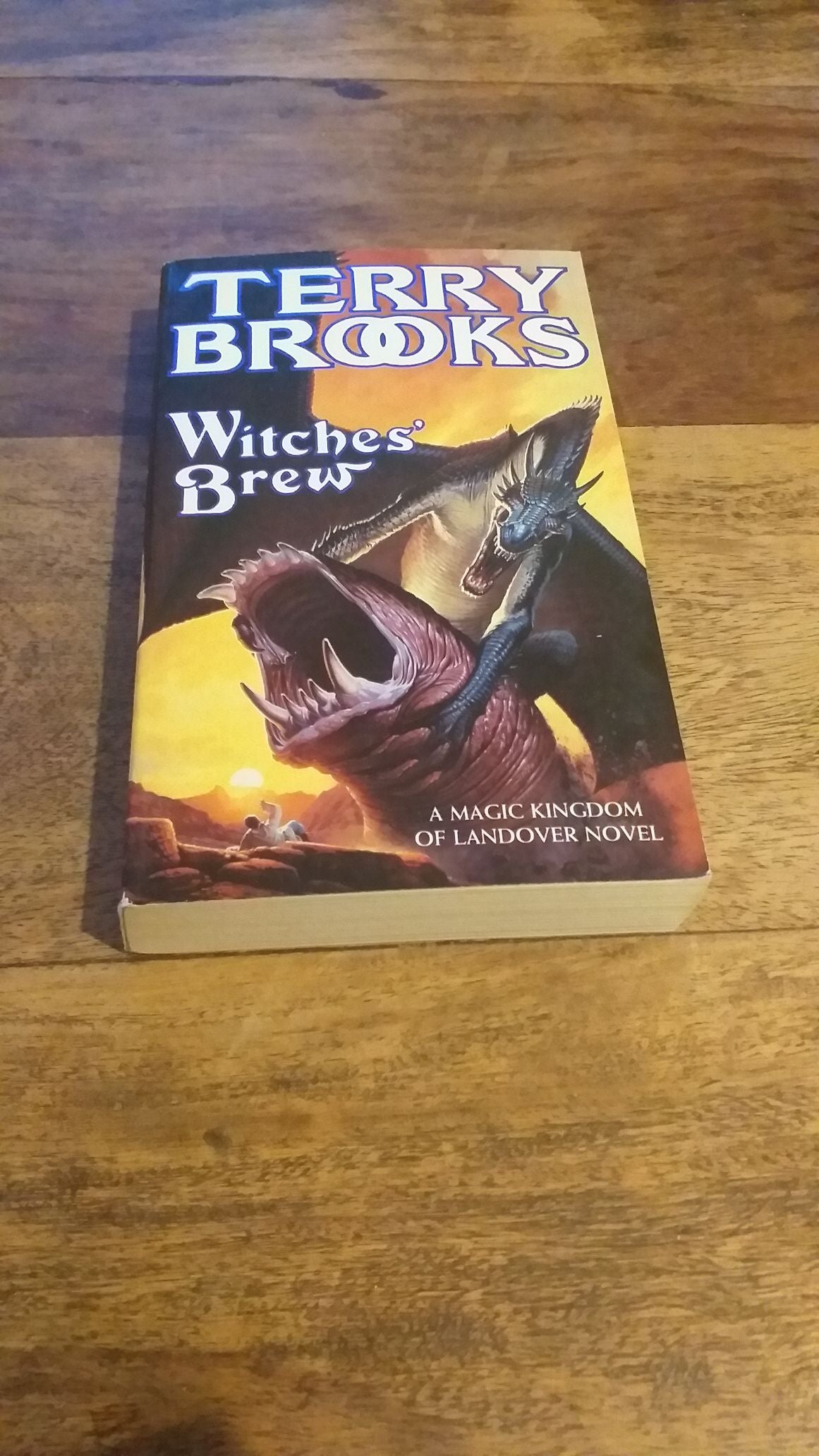 Witches' Brew The Magic Kingdom of Landover #5 Terry Brooks 1995 ...