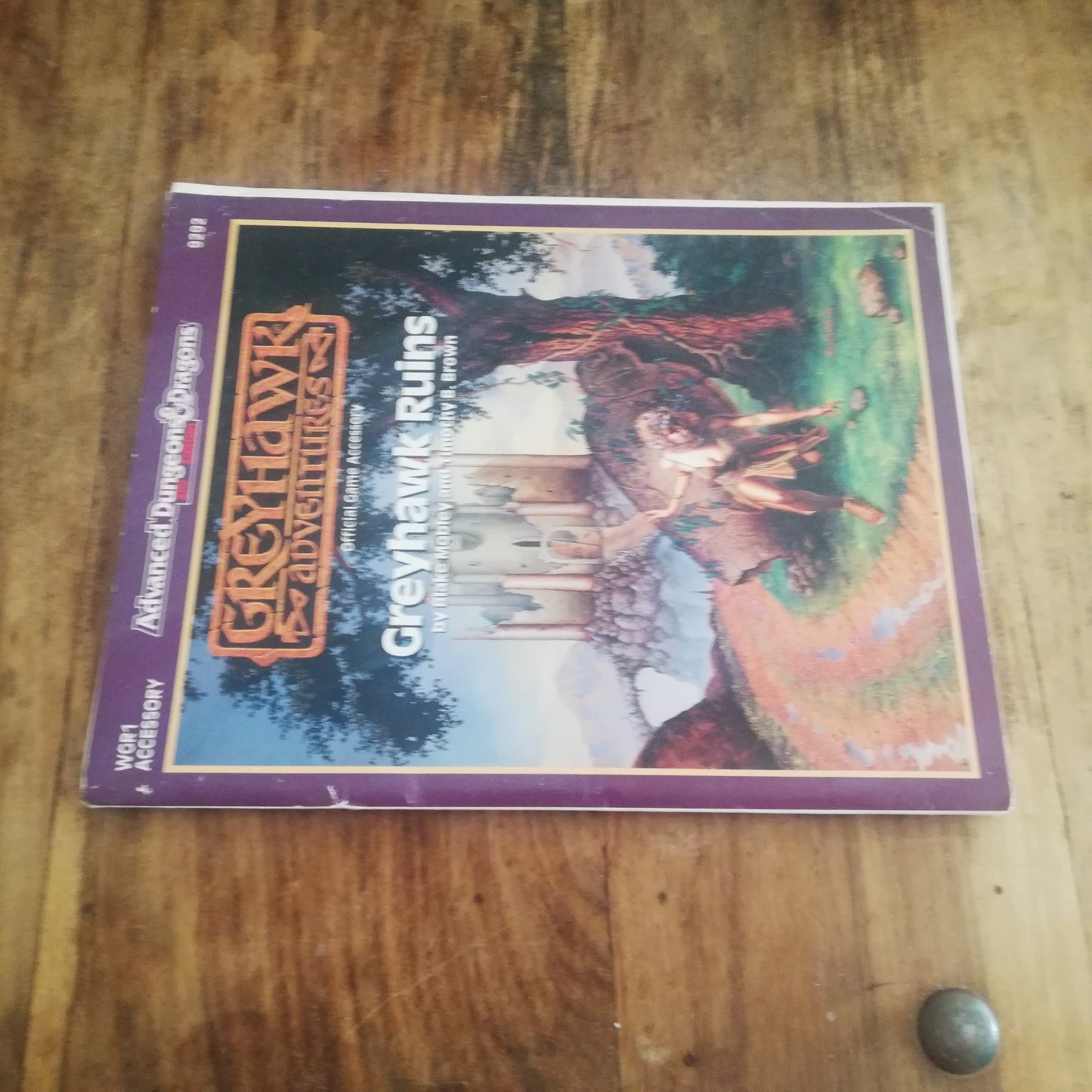 AD&D GREYHAWK ADVENTURES Greyhawk Ruins 1990 - AllRoleplaying.com